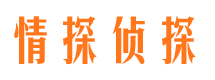 漳平寻人公司